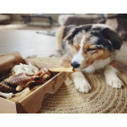 Snacks naturales para perros